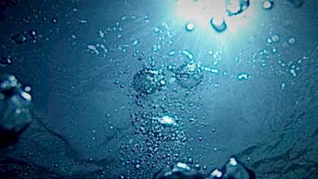bubbles going upwards on a body of water