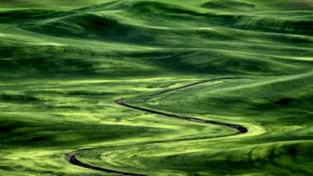 irrigation