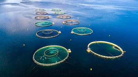 aquaculture-balik-ciftlikleri-pe100